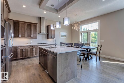 19 20425 93 Avenue, Edmonton, AB - Indoor Photo Showing Kitchen With Double Sink With Upgraded Kitchen