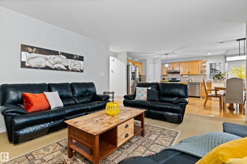 20432 50 Avenue, Edmonton, AB - Indoor Photo Showing Living Room