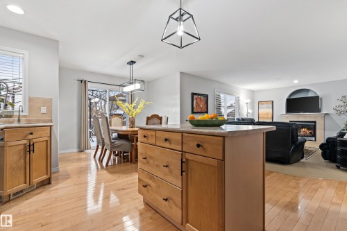 20432 50 Avenue, Edmonton, AB - Indoor With Fireplace