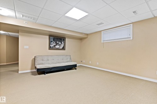 20432 50 Avenue, Edmonton, AB - Indoor Photo Showing Basement