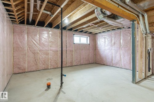 22372 89 Avenue, Edmonton, AB - Indoor Photo Showing Basement
