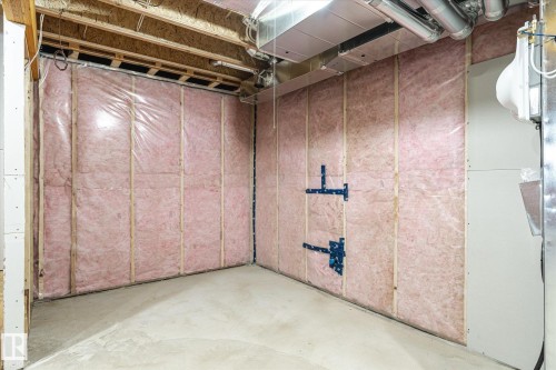 22372 89 Avenue, Edmonton, AB - Indoor Photo Showing Basement