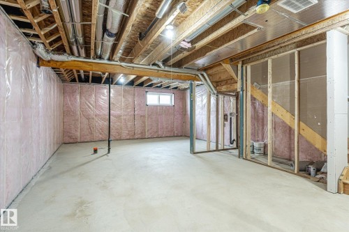 22372 89 Avenue, Edmonton, AB - Indoor Photo Showing Basement