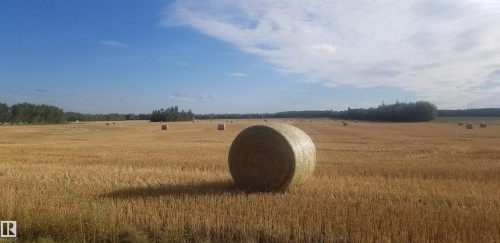 6818 50 Avenue, Rural Lac Ste. Anne County, AB - Outdoor With View