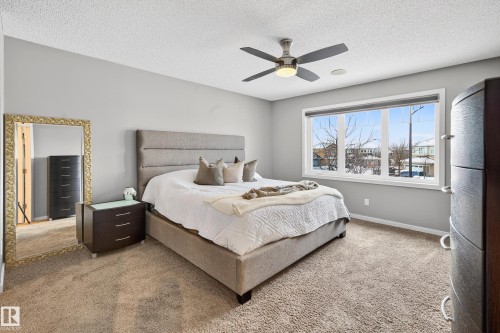 21711 85 Avenue, Edmonton, AB - Indoor Photo Showing Bedroom
