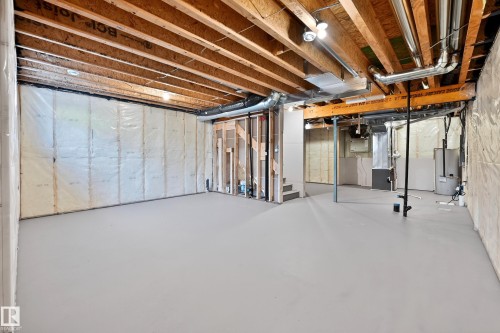 2251 194 Street, Edmonton, AB - Indoor Photo Showing Basement
