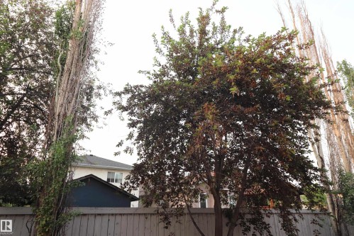 47 16728 115 Street, Edmonton, AB - Outdoor