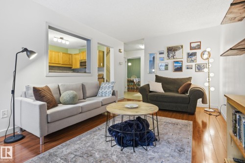 18024 96 Avenue, Edmonton, AB - Indoor Photo Showing Living Room