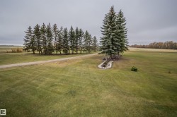 View of green lawn - 