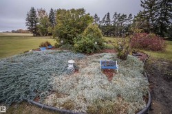 View of grassy yard featuring view of scattered trees - 
