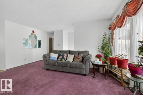 17003 109 Street, Edmonton, AB - Indoor Photo Showing Living Room