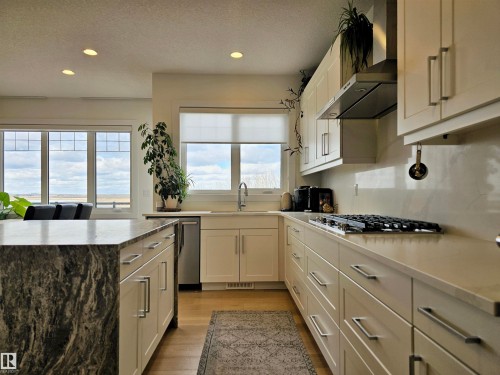 1265 Peregrine Terrace, Edmonton, AB - Indoor Photo Showing Kitchen With Upgraded Kitchen