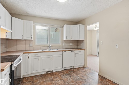 2007 49A Street, Edmonton, AB - Indoor Photo Showing Kitchen With Double Sink
