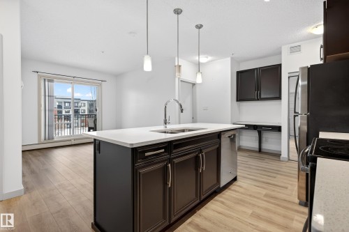 318 1144 Adamson Drive, Edmonton, AB - Indoor Photo Showing Kitchen With Double Sink With Upgraded Kitchen