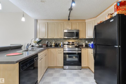 307 6315 135 Avenue, Edmonton, AB - Indoor Photo Showing Kitchen With Double Sink