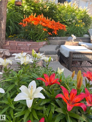 3030 Trelle Crescent, Edmonton, AB - Outdoor