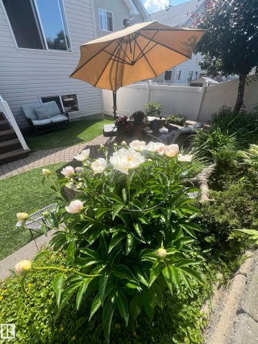 3030 Trelle Crescent, Edmonton, AB - Outdoor