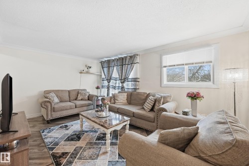 306 10811 115 Street, Edmonton, AB - Indoor Photo Showing Living Room