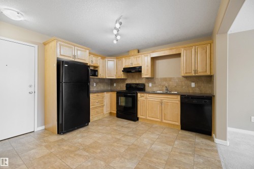 103 11935 106 St, Edmonton, AB - Indoor Photo Showing Kitchen With Double Sink