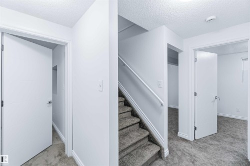 Stairway featuring a textured ceiling and carpet floors - 115 Deer Ridge Drive, St. Albert, AB - Indoor Photo Showing Other Room