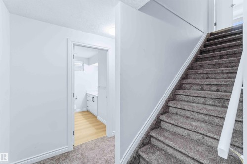 Stairs featuring carpet flooring and a textured ceiling - 115 Deer Ridge Drive, St. Albert, AB - Indoor Photo Showing Other Room