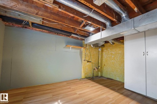 10838 126 Street, Edmonton, AB - Indoor Photo Showing Basement
