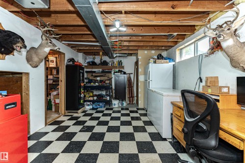 9007 102 Avenue, Morinville, AB - Indoor Photo Showing Basement