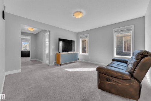 6508 Elston Loop, Edmonton, AB - Indoor Photo Showing Living Room