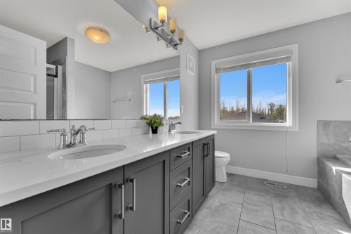 6508 Elston Loop, Edmonton, AB - Indoor Photo Showing Bathroom
