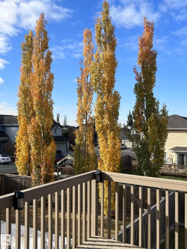 540 59 Street Sw, Edmonton, AB - Outdoor