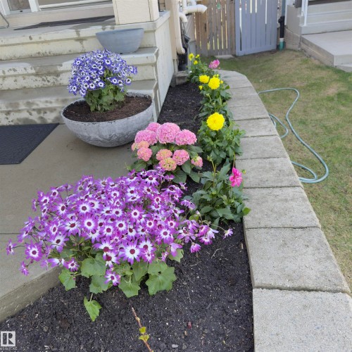 540 59 Street Sw, Edmonton, AB - Outdoor