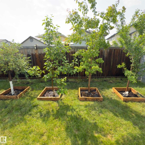 540 59 Street Sw, Edmonton, AB - Outdoor With Backyard