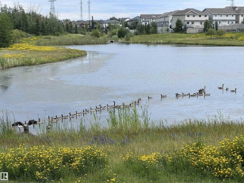 540 59 Street Sw, Edmonton, AB - Outdoor With Body Of Water With View