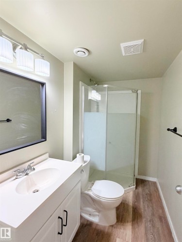 Full bathroom with vanity, a shower stall, and dark wood-style flooring - 1711 37A Avenue, Edmonton, AB - Indoor Photo Showing Bathroom