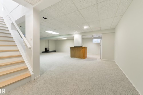 129 Ironwood Place, Edmonton, AB - Indoor Photo Showing Basement