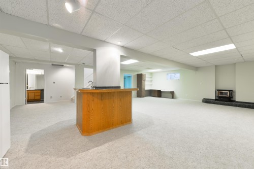 129 Ironwood Place, Edmonton, AB - Indoor Photo Showing Basement