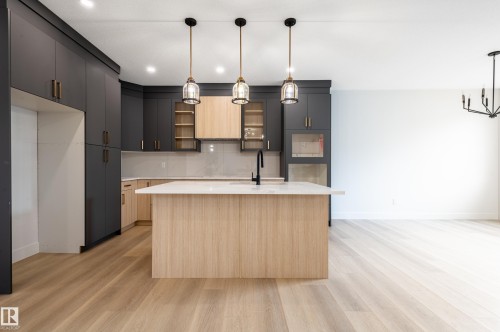6229 Hampton Gray Avenue, Edmonton, AB - Indoor Photo Showing Kitchen With Upgraded Kitchen