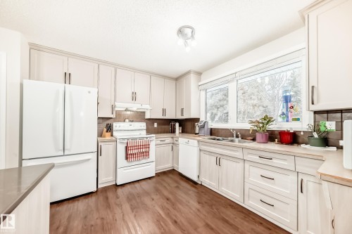 12404 39 Avenue Nw, Edmonton, AB - Indoor Photo Showing Kitchen With Double Sink