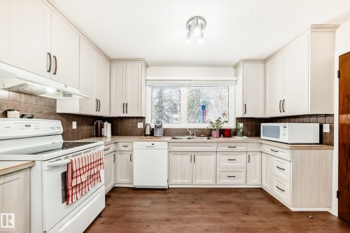 12404 39 Avenue Nw, Edmonton, AB - Indoor Photo Showing Kitchen With Double Sink