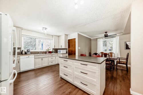 12404 39 Avenue Nw, Edmonton, AB - Indoor Photo Showing Kitchen