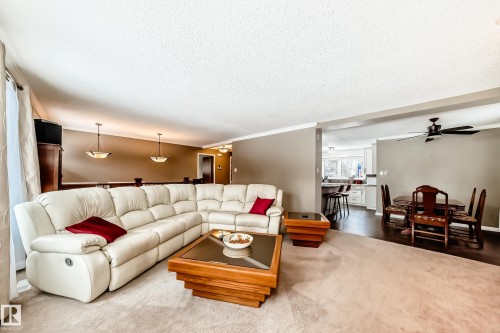 12404 39 Avenue Nw, Edmonton, AB - Indoor Photo Showing Living Room