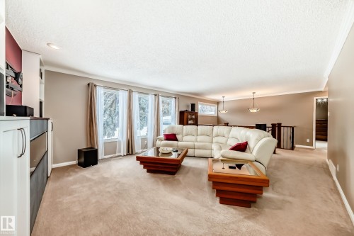 12404 39 Avenue Nw, Edmonton, AB - Indoor Photo Showing Living Room