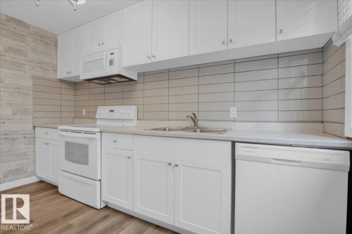 10345 159 Street, Edmonton, AB - Indoor Photo Showing Kitchen With Double Sink