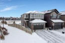 2320 Chokecherry Close, Edmonton, AB  - Outdoor 