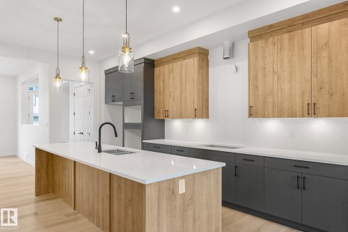 9926 157 Street, Edmonton, AB - Indoor Photo Showing Kitchen With Double Sink With Upgraded Kitchen