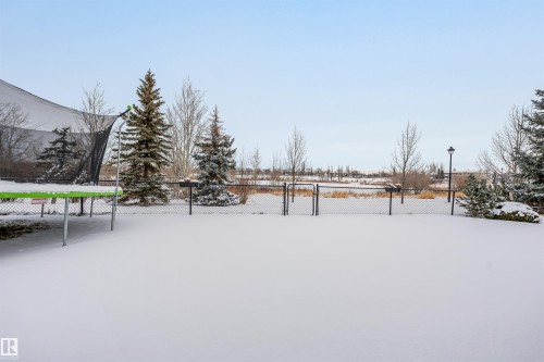 View of yard layered in snow - 20524 58 Avenue, Edmonton, AB - Outdoor With View