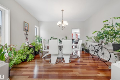 Dining space with wood finished floors, a chandelier, and healthy amount of natural light - 20524 58 Avenue, Edmonton, AB - Indoor