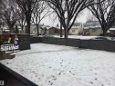 Snowy yard featuring a residential view - 11516 88 Street, Edmonton, AB  - Outdoor 