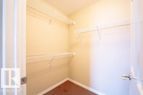 Spacious closet with dark colored carpet - 3117 Arthurs Crescent, Edmonton, AB - Indoor With Storage