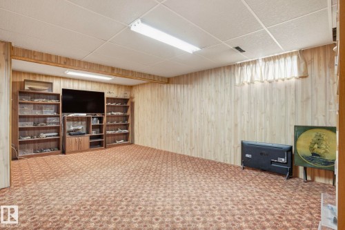 14208 30 Street, Edmonton, AB - Indoor Photo Showing Basement